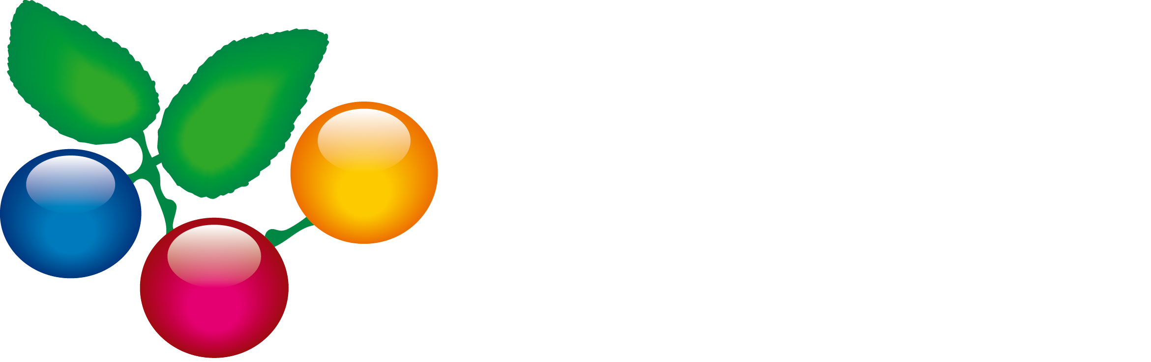 Marjex -ostopisteet